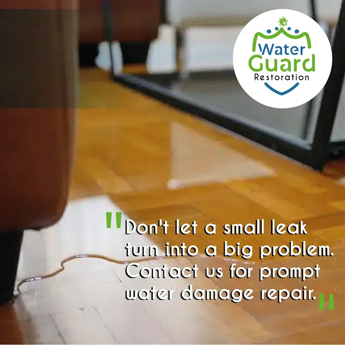 WaterGuard Restauration Picture 9