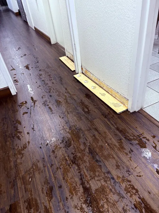 SERVPRO of East Davie/Cooper City Picture 7