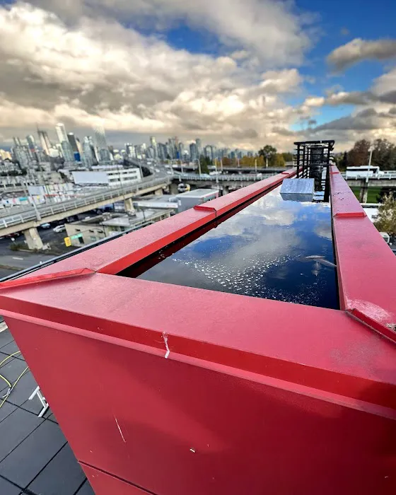 DRS Salt Mash Water Restoration Picture 2