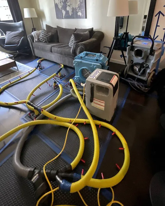 DRS Salt Mash Water Restoration Picture 4