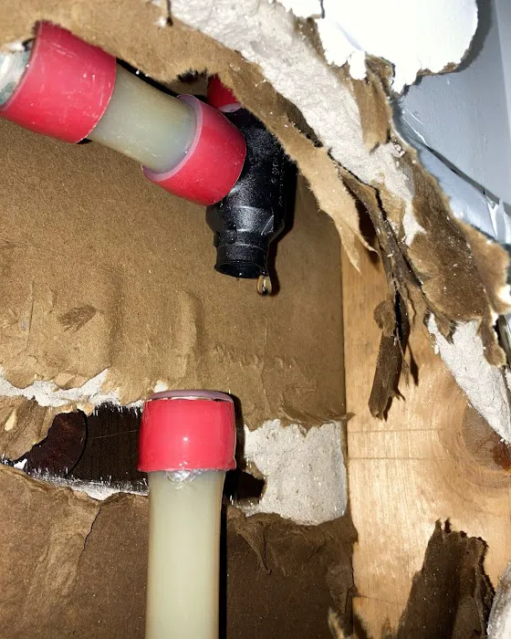 DRS Salt Mash Water Restoration Picture 9