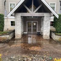 Davie Mold removal Prime ico