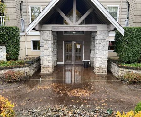 Davie Mold removal Prime