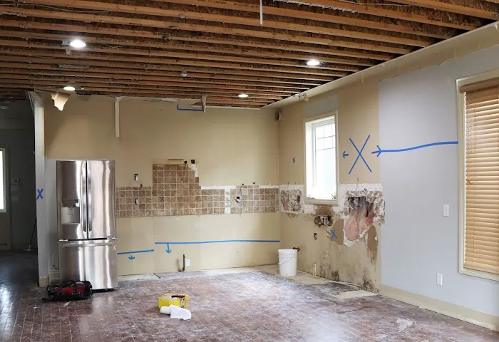 Davie Mold removal Prime Picture 4