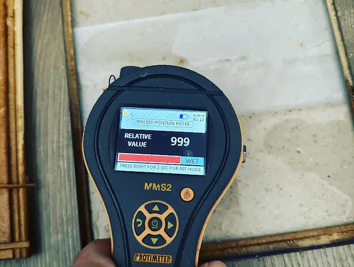 Davie Mold removal Prime Picture 2