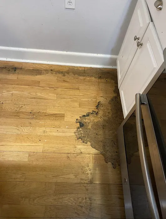 Davie Mold removal Prime Picture 3