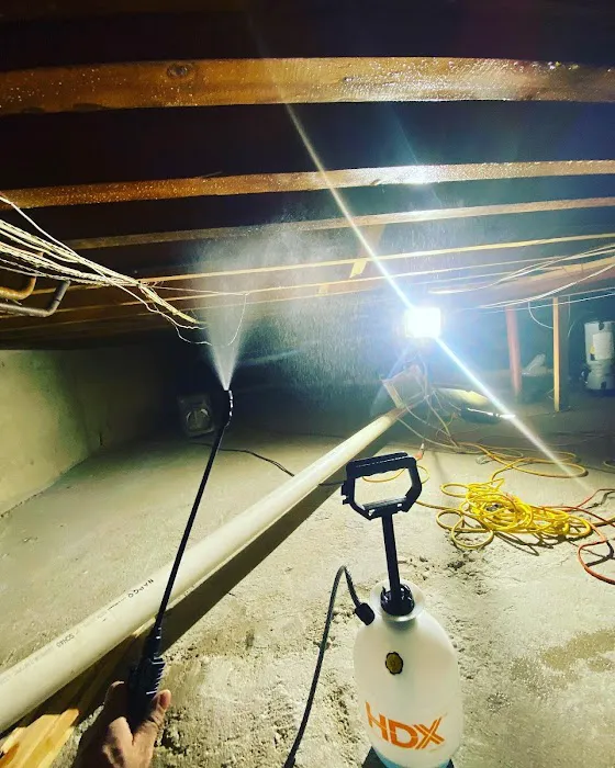 Davie Mold removal Prime Picture 10