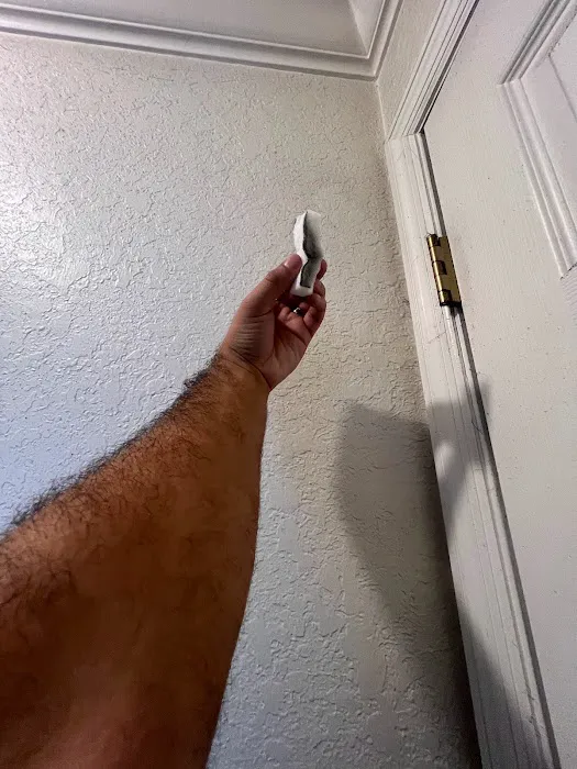 Pride Clean Restoration Picture 2