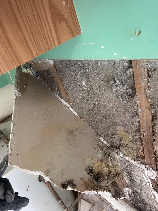 Pride Clean Restoration Picture 5