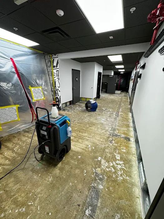 Ready 5 Restoration Picture 7