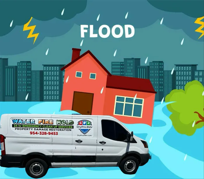 DryPro 24hr LLC Picture 3