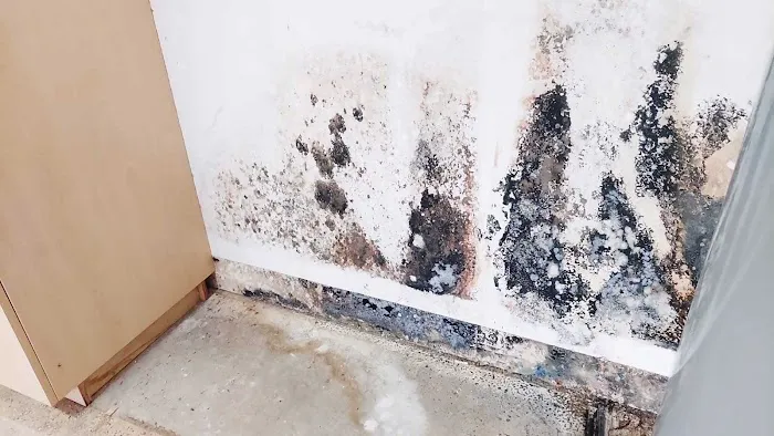 Inovec Restoration & Construction Picture 9