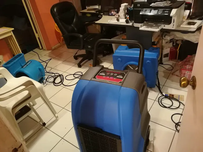 ASAP Ultimate Restoration Picture 3