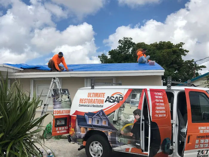 ASAP Ultimate Restoration Picture 2