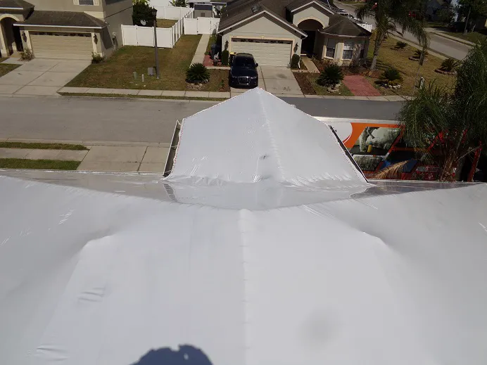 ASAP Ultimate Restoration Picture 1