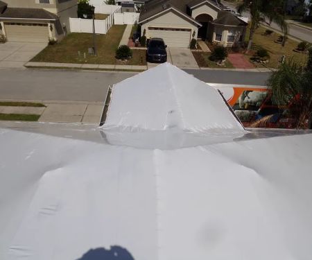 ASAP Ultimate Restoration