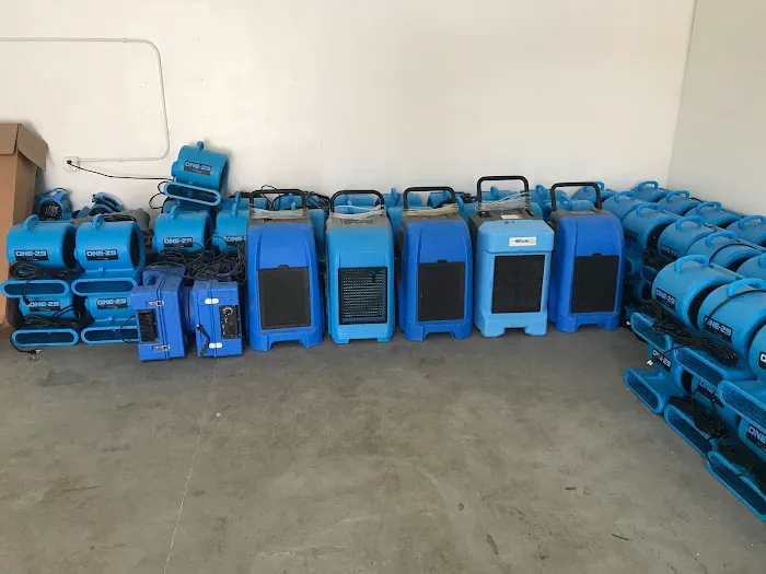 ASAP Ultimate Restoration Picture 6