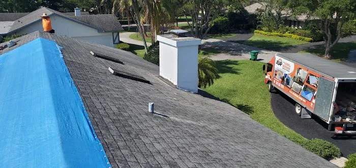 ASAP Ultimate Restoration Picture 9