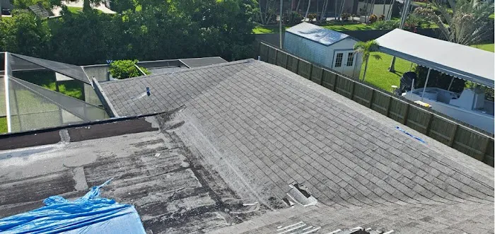 ASAP Ultimate Restoration Picture 8