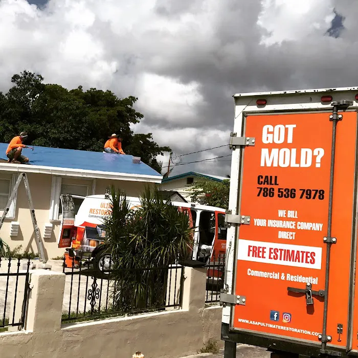 ASAP Ultimate Restoration Picture 10