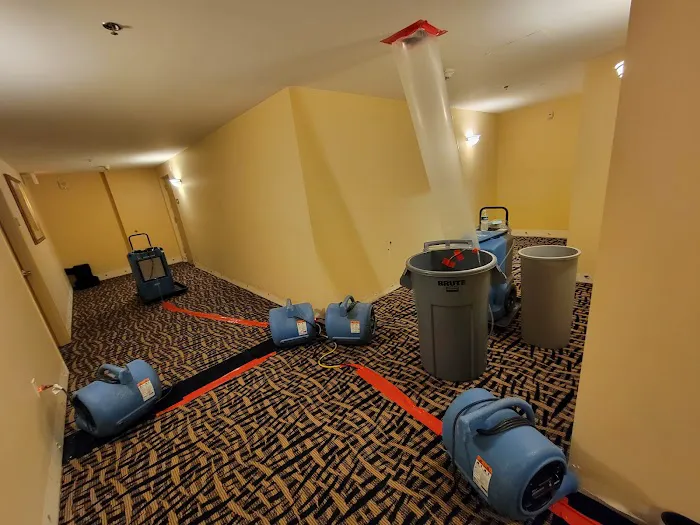 Father and Son restoration & mitigation Picture 1