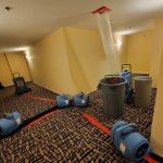 Father and Son restoration & mitigation