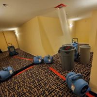 Father and Son restoration & mitigation ico