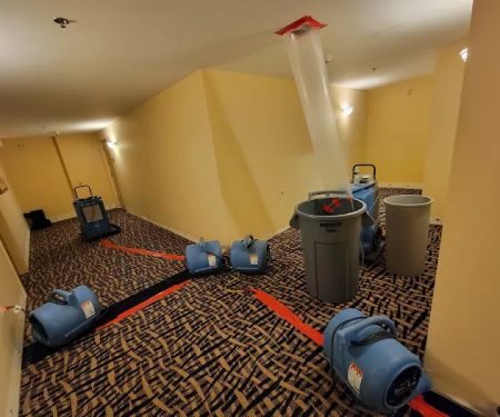 Father and Son restoration & mitigation