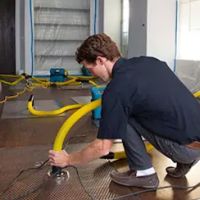 General Water Damage Inc ico