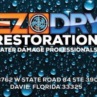 EZ Dry Restoration ico