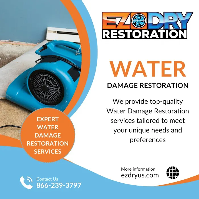 EZ Dry Restoration Picture 3