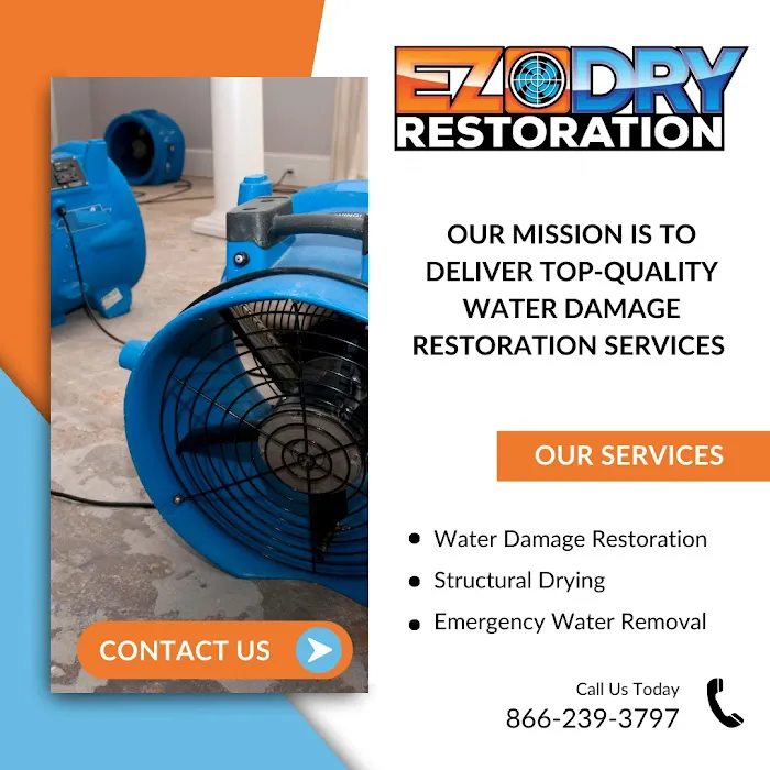 EZ Dry Restoration Picture 4