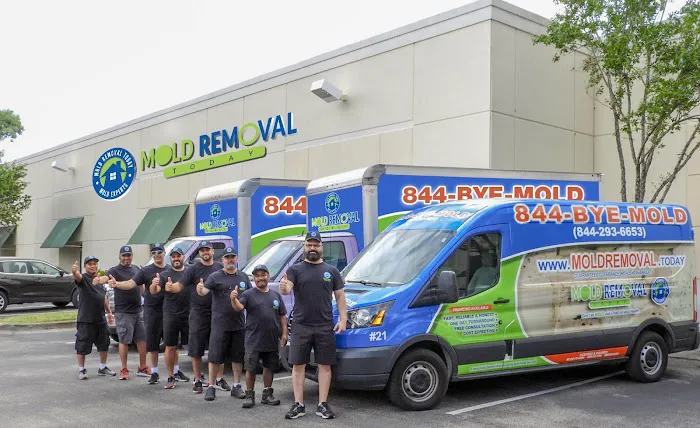 Miami Mold Picture 1