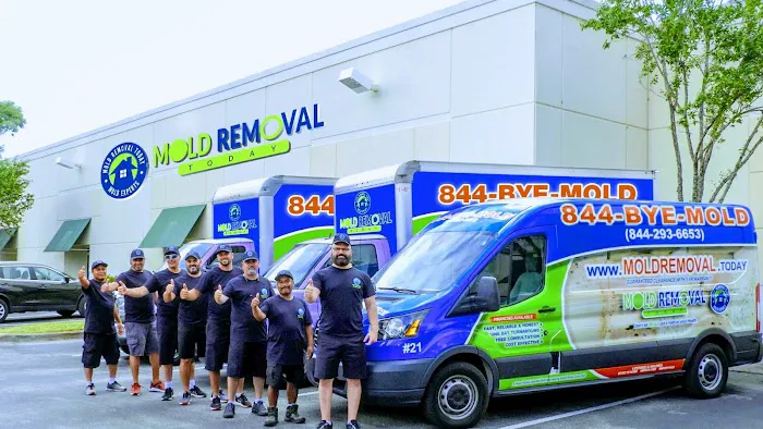 Miami Mold Picture 2