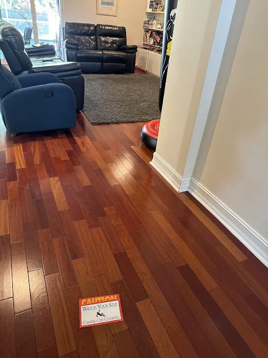 Stanley Steemer Picture 6