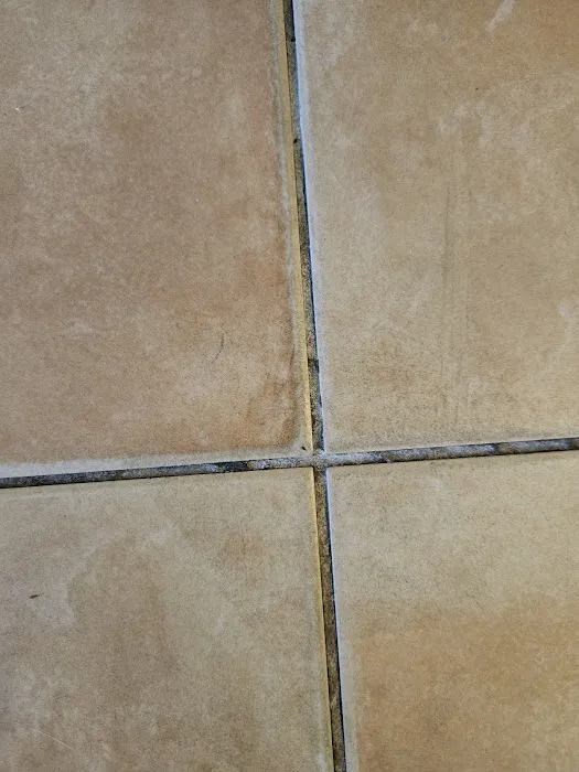 Stanley Steemer Picture 8