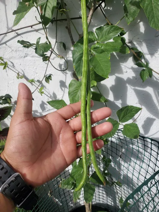 Clean Recover Restore Picture 6