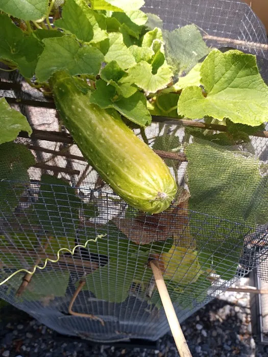 Clean Recover Restore Picture 5