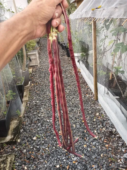 Clean Recover Restore Picture 7