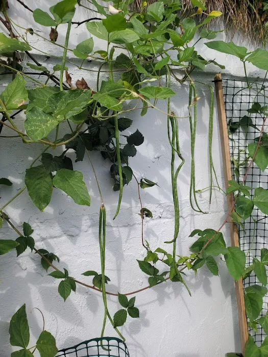 Clean Recover Restore Picture 9