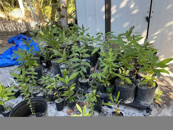 Clean Recover Restore Picture 8