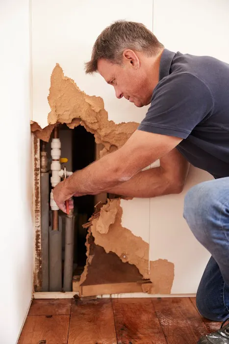 Restoration Doctor Picture 1