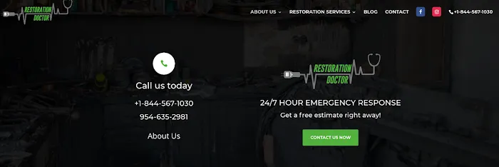 Restoration Doctor Picture 3