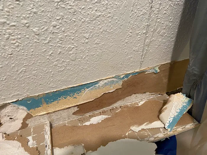 East Coast Water And Mold Inc Picture 3