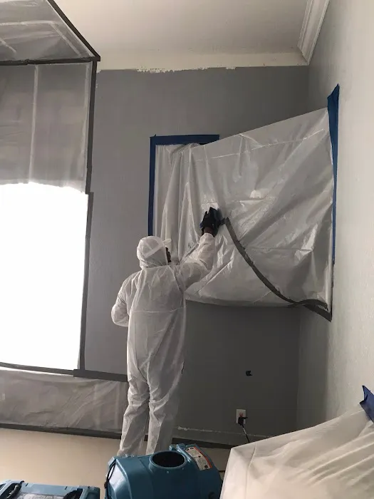 East Coast Water And Mold Inc Picture 9