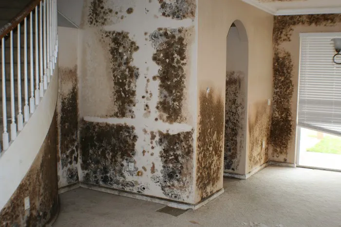 Terramar Restoration Picture 1