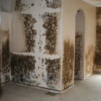 Terramar Restoration ico