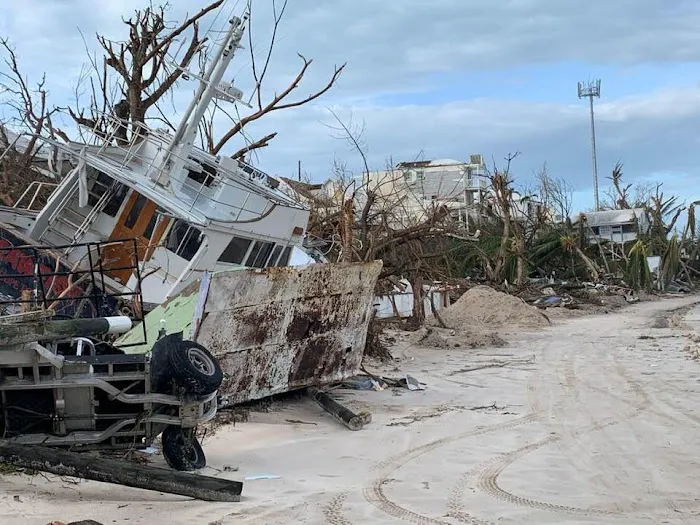 Terramar Restoration Picture 6