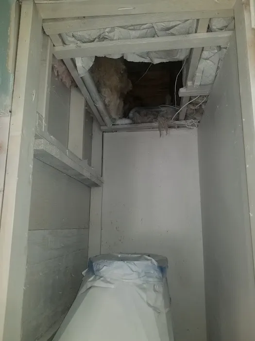 Terramar Restoration Picture 9