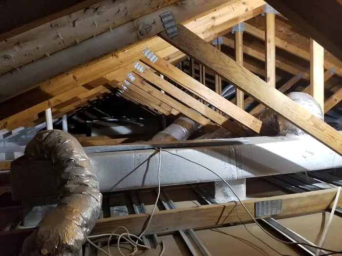 Terramar Restoration Picture 10